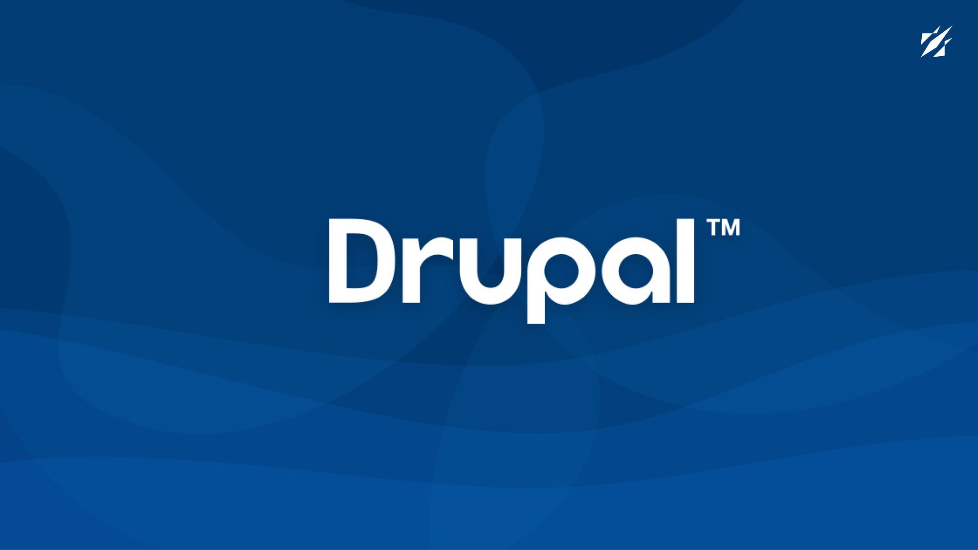 Drupal 8 Vs. Drupal 9 Vs. Drupal10: The Key Differences You Need To Know | Earning Designs